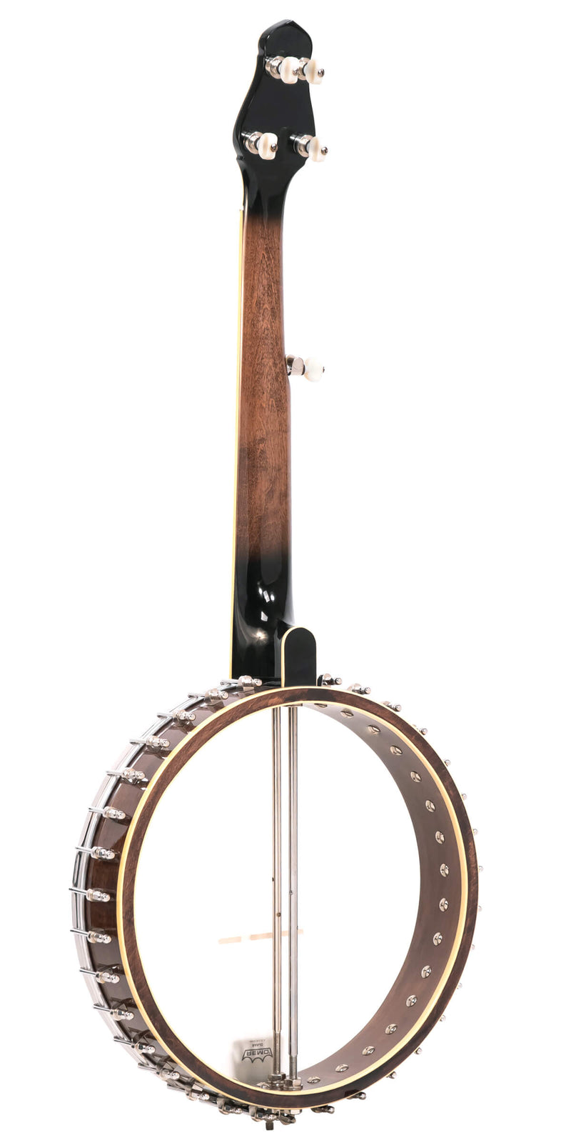 Gold Tone CEB-5: 5-String Cello Banjo with Case