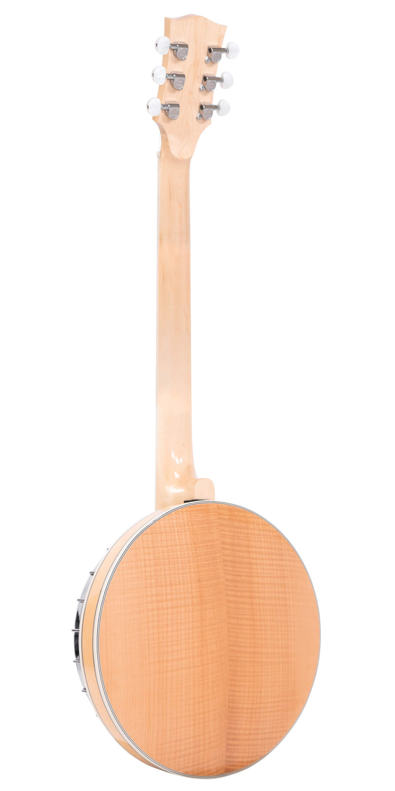Gold Tone GT-750: Banjitar Deluxe with Case