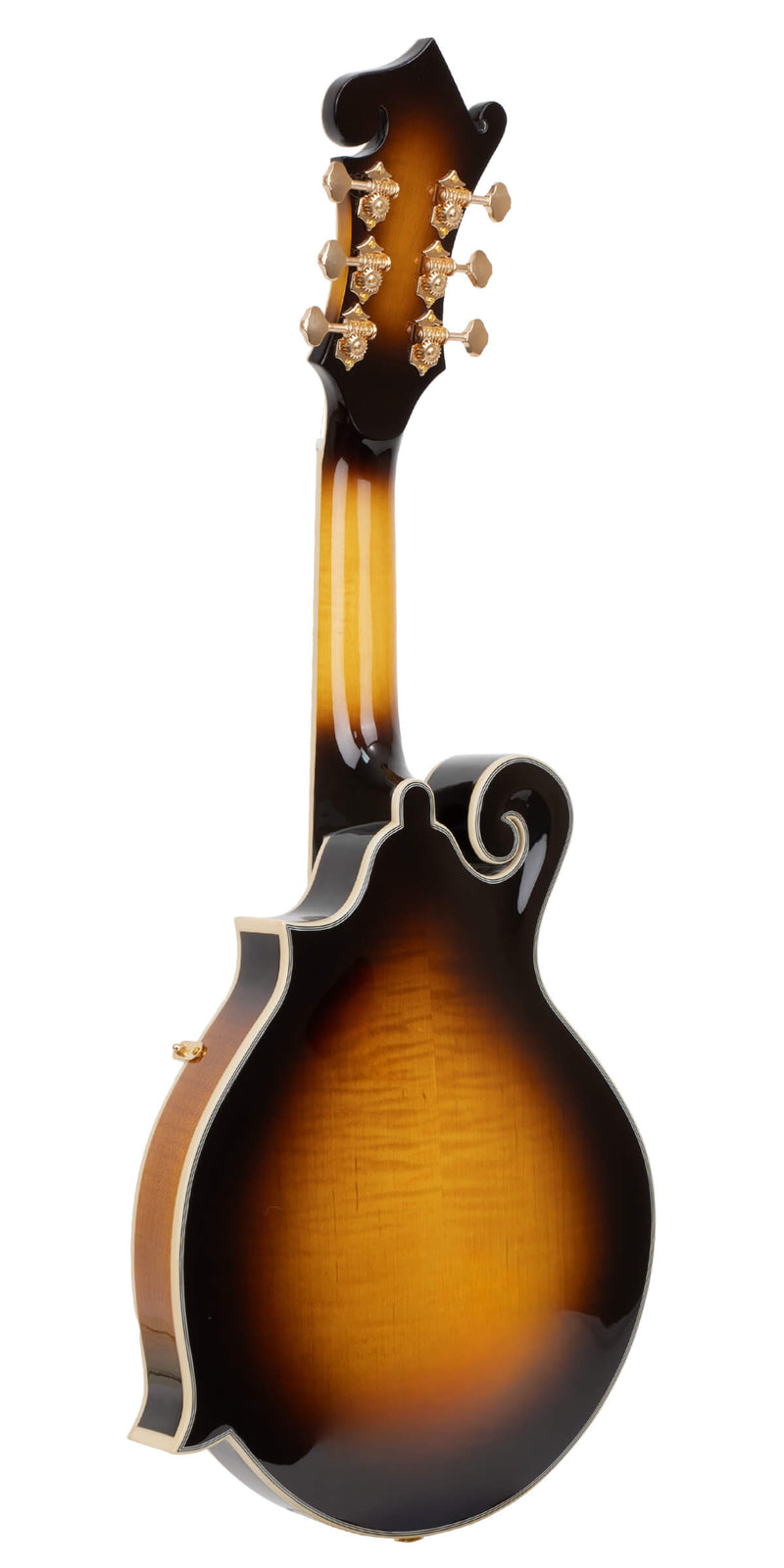 Gold Tone F-6+: F-style Mando-Guitar with Pickup, Volume Control, and Case