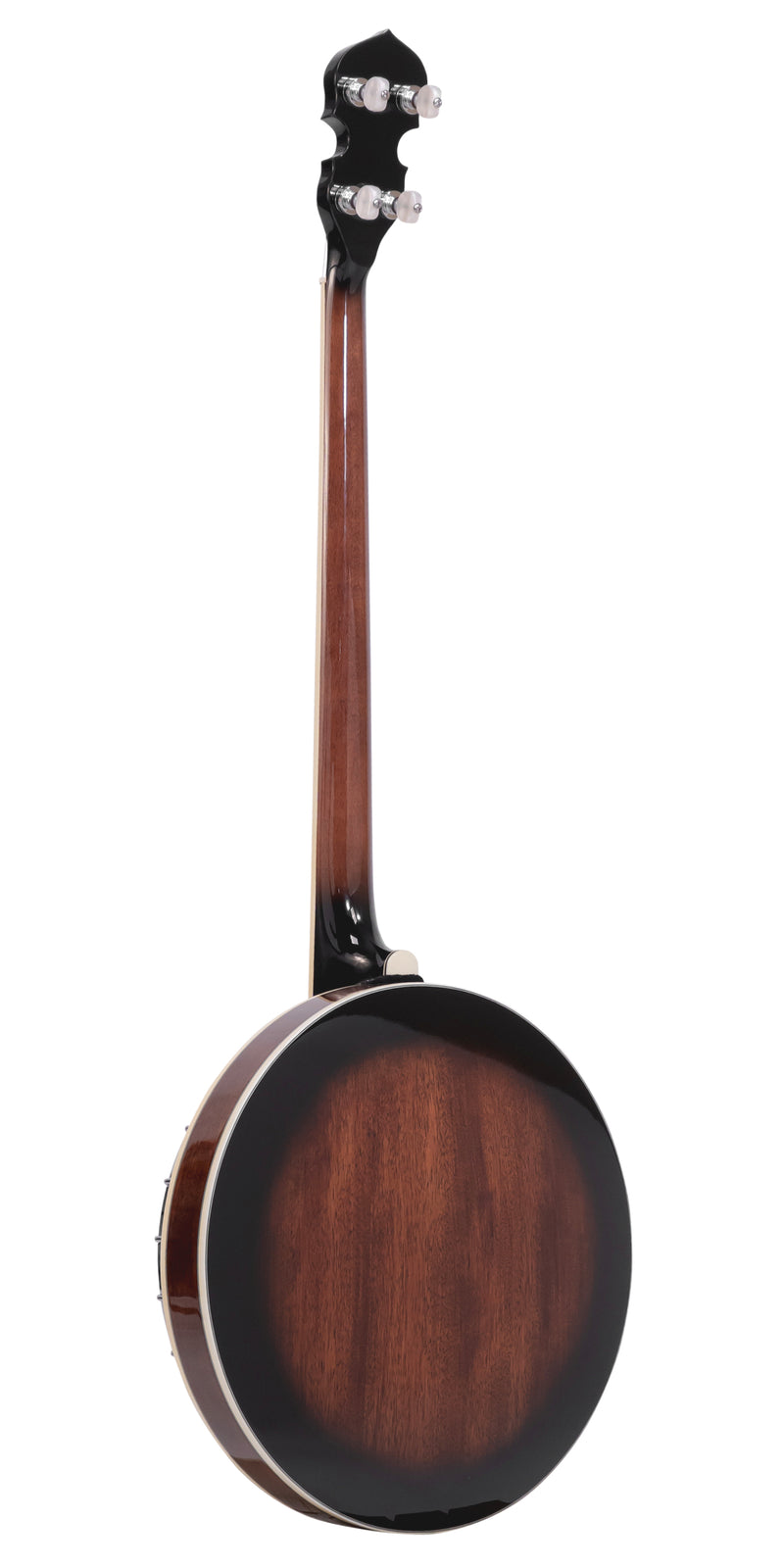 Gold Tone PS-250: Plectrum Special Banjo with Case