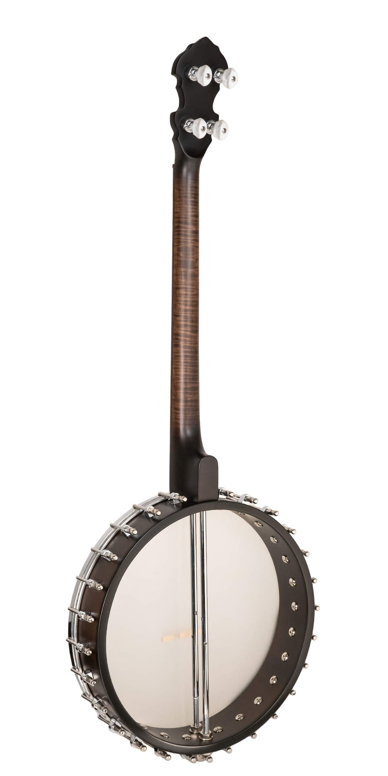 Gold Tone  IT-19: Irish Tenor Banjo with 19 Frets and Gig Bag