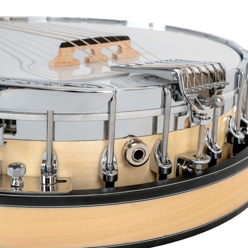 Gold Tone GT-500: Banjitar with Case