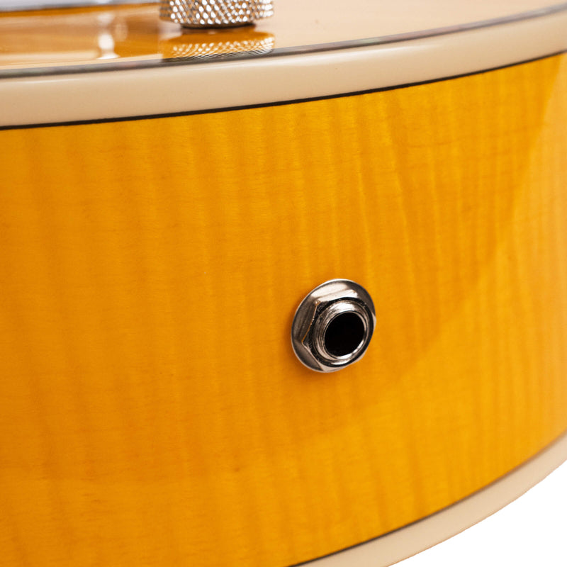 Gold Tone Mojo: Round-neck Resonator Guitar with Pickup and Case