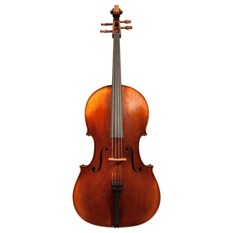 Nicolas Parola CP7 Cello