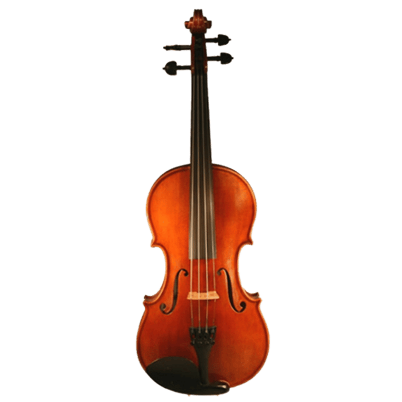 Ricardo Galaini Violin
