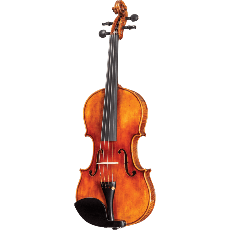 Howard Core Select CS2000-Lacathedrale Model Violin