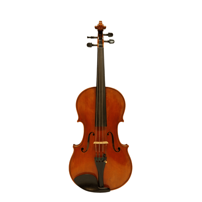 Nicolo Marcasi Viola