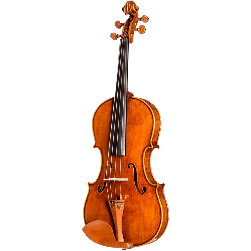 Howard Core Dragon DR10 Model Viola