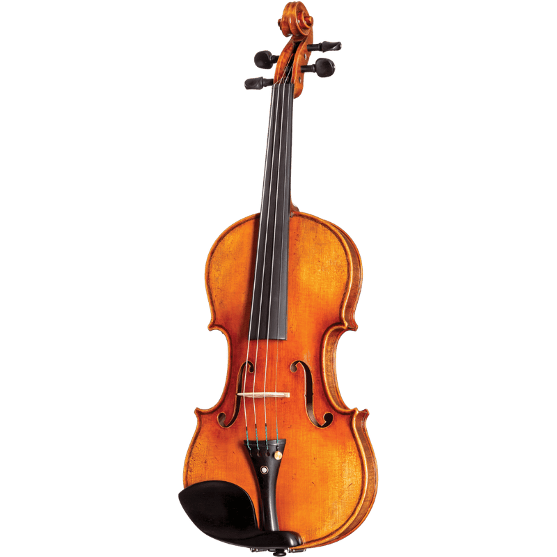 Howard Core Select CS2000-Goldman Model Violin