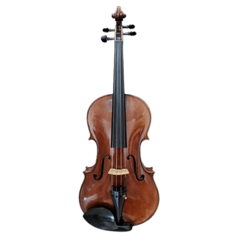 Stefan Petrov Superior Viola