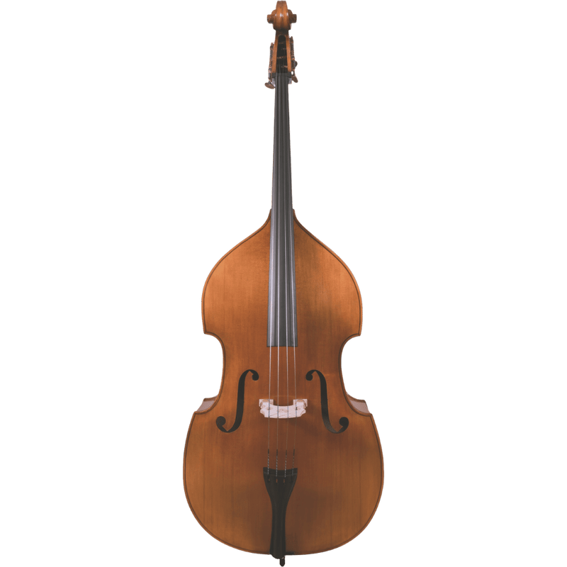 Maple Leaf Strings Mls140 Intermediate Bass with Case