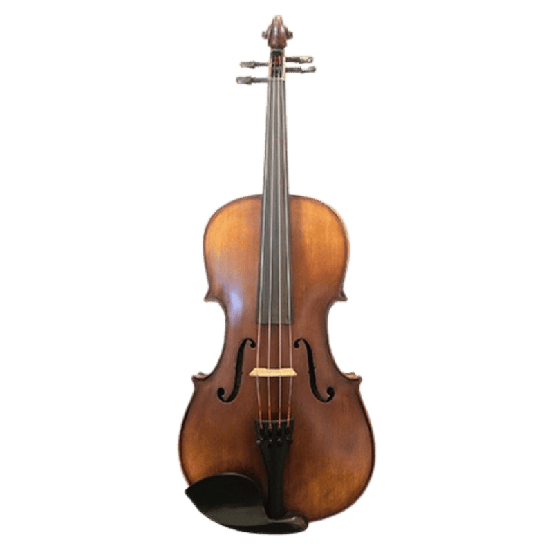 Ametto CA150 Viola Outfit