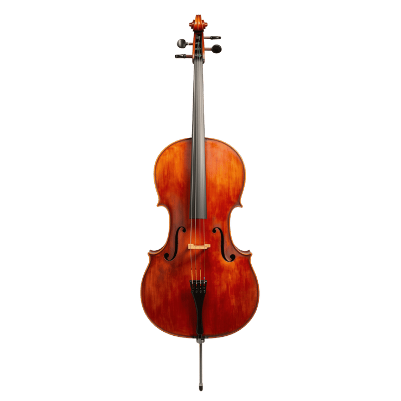 M.F. Bieg Orchester Gofriller Cello
