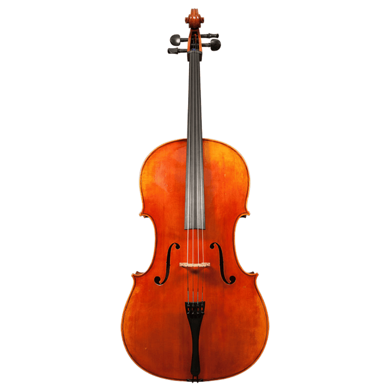 Trista Select Cello By Stefan Petrov