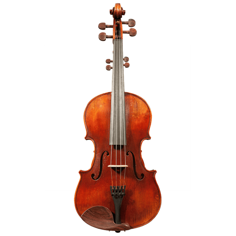 Nicolas Parola AP7 Viola