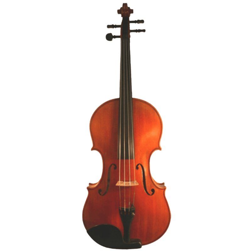 Ricardo Galaini Viola
