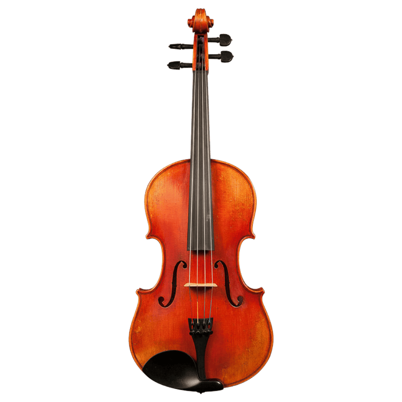 Nicolas Parola AP30E Viola