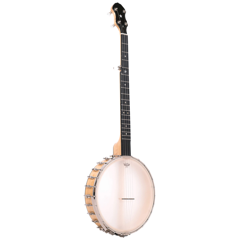 Gold Tone BC-350: Bob Carlin Banjo with Case