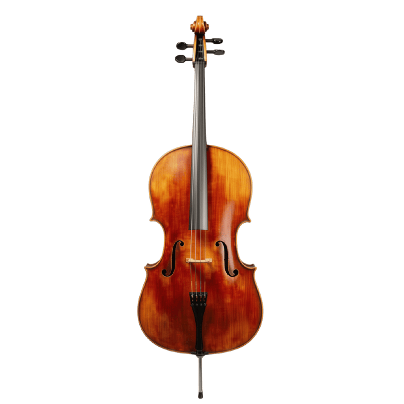 M.F. Bieg Orchester Montagnana Cello