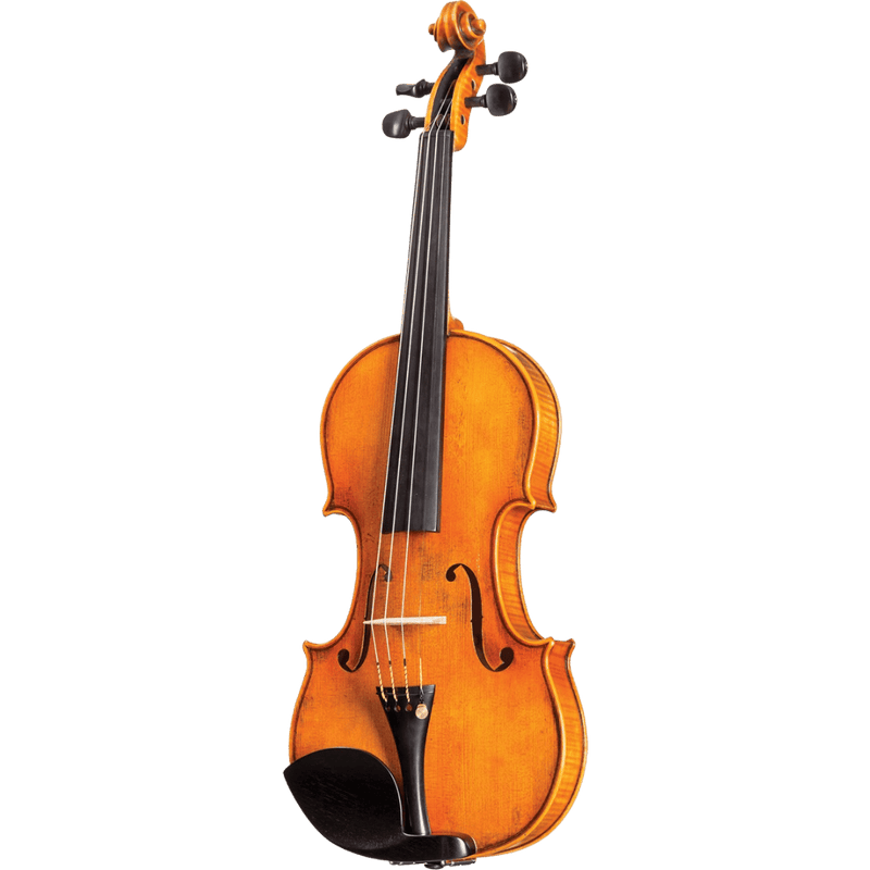 Karl Höfner 225 Bergonzi model Violin