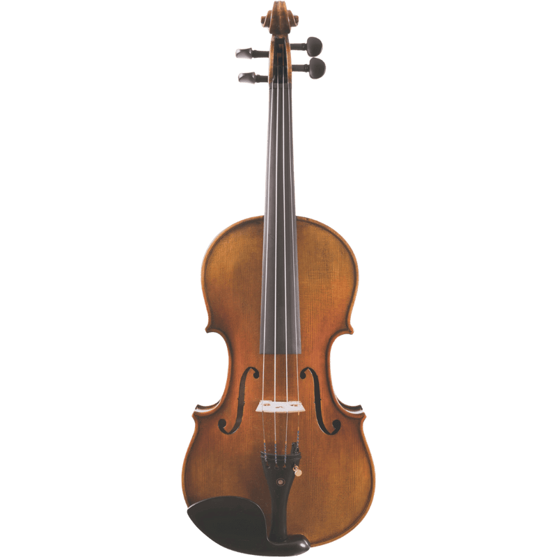 Maple Leaf Strings Lady Claire professional Viola with Case