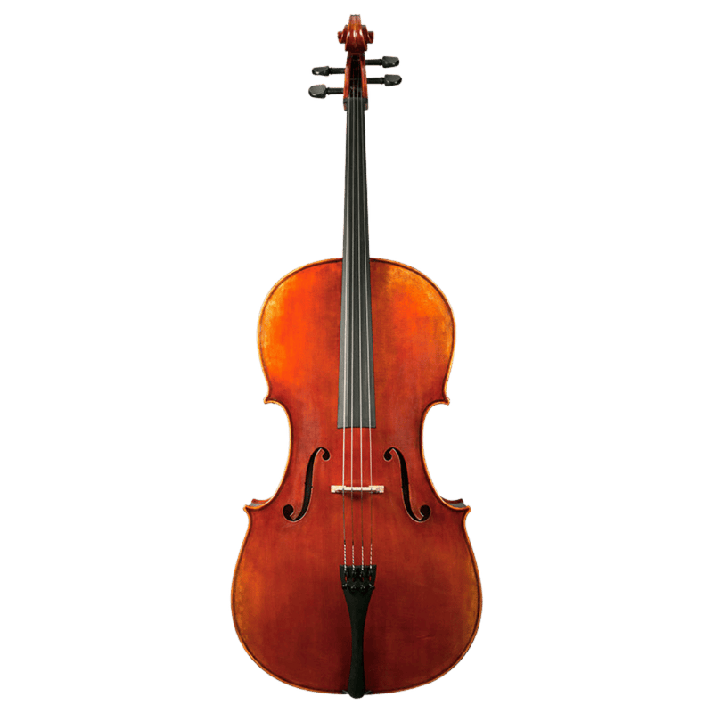 Nicolas Parola CP30E Cello