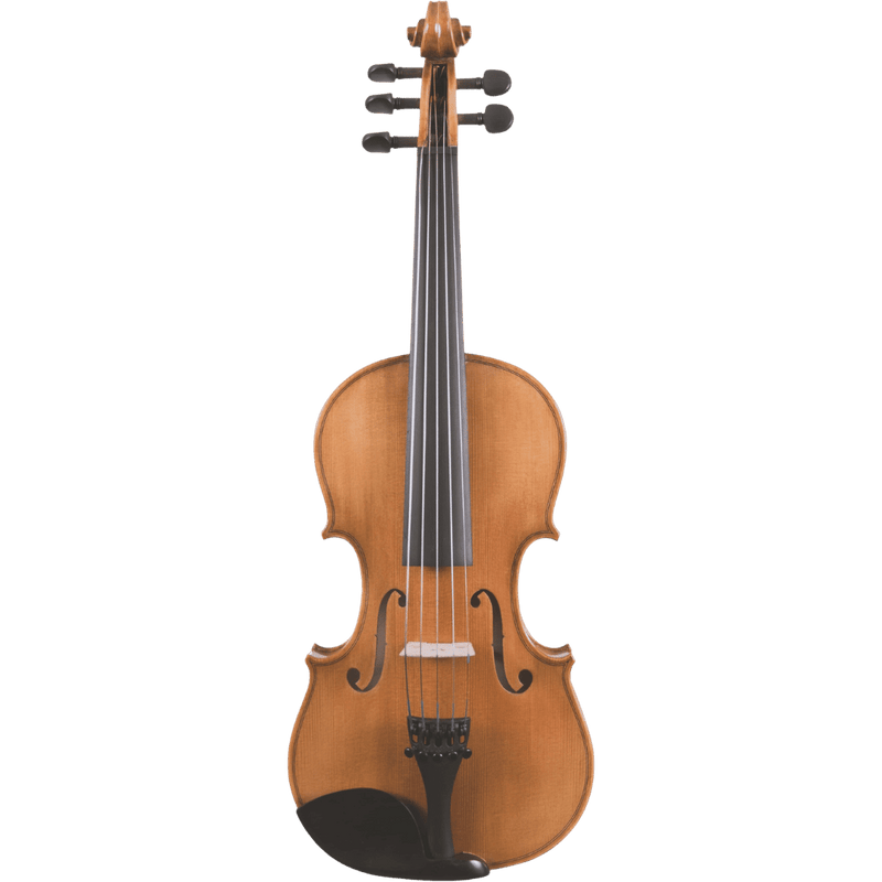 Maple Leaf Strings Mls130-5 Beginner Violin Outfit with Bow and Case