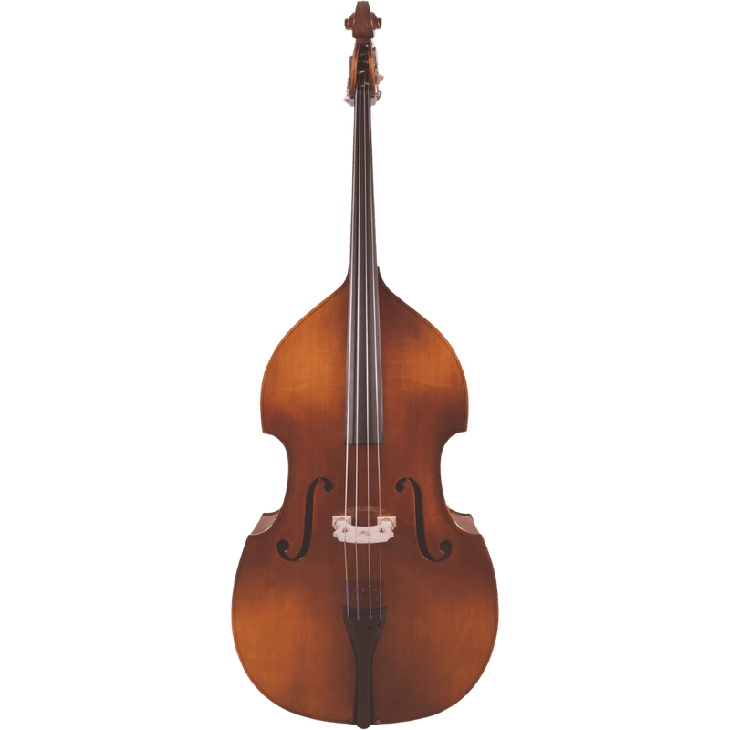Maple Leaf Strings Mls110 Beginner Bass Outfit with Bow and Case