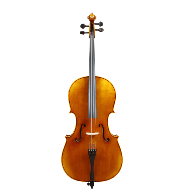 Scott Cao STC-017E Cello