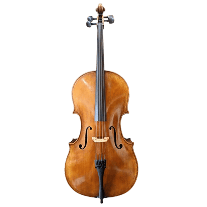 Stefan Petrov Standard Cello