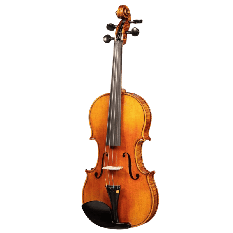 Howard Core Select CS900  Model Violin