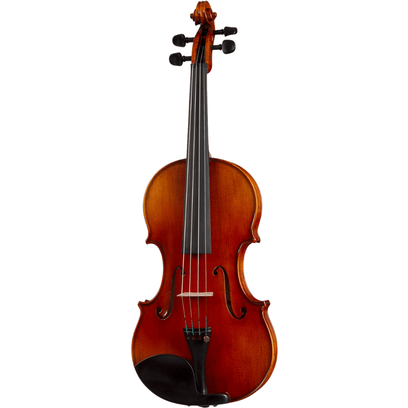 Franz Sandner FS803 Violin