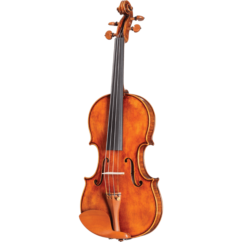 Howard Core Dragon DR10 Model Violin