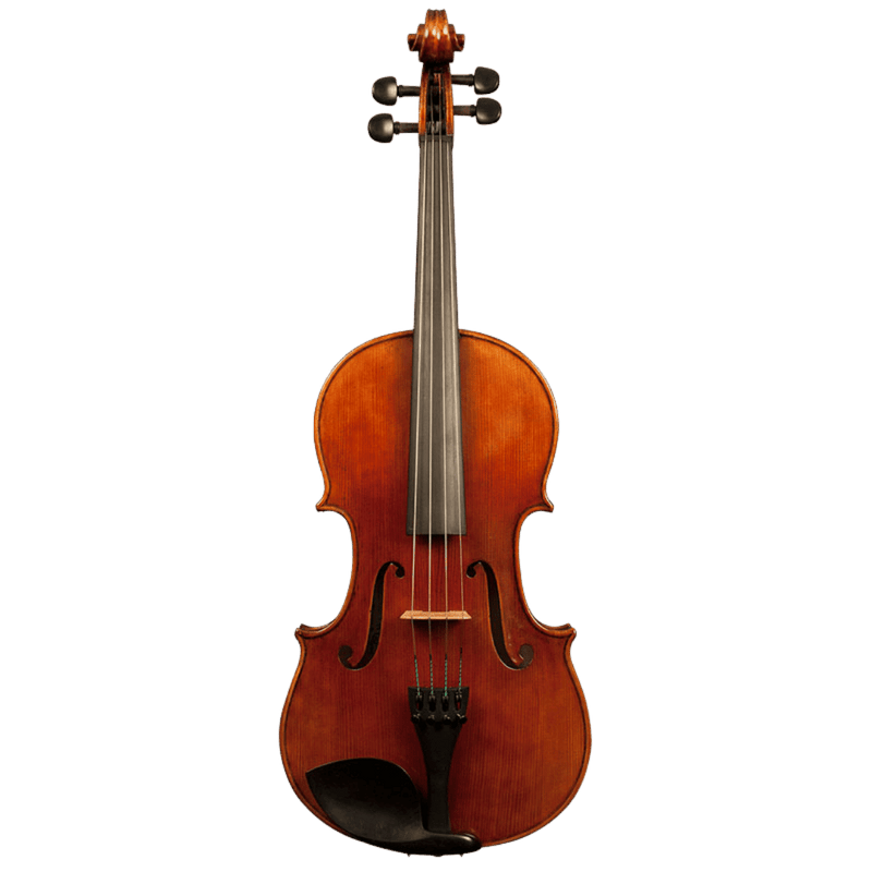 Nicolas Parola AP20N Viola