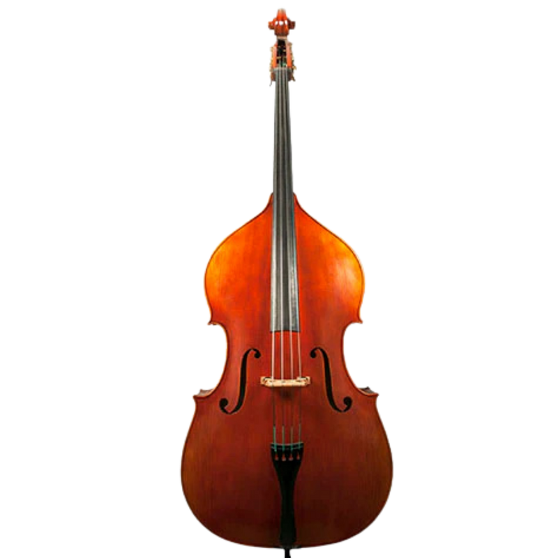 Nicolas Parola VB15E Bass