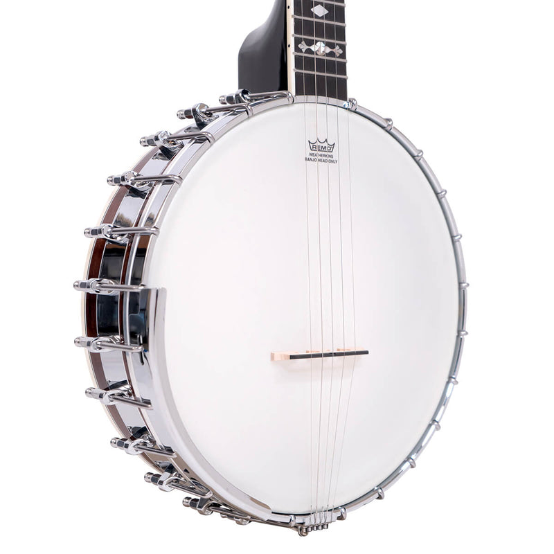 Gold Tone  OT-800LN: Old Time Long Neck Banjo with Case