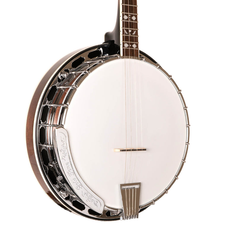 Gold Tone TS-250: Tenor Special Banjo with Case