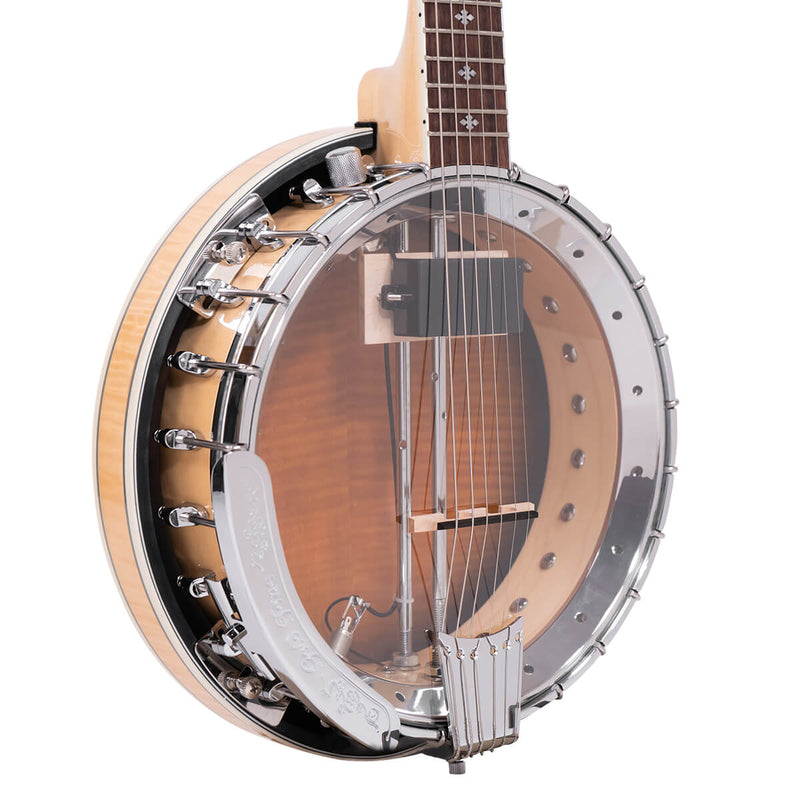 Gold Tone GT-750: Banjitar Deluxe with Case