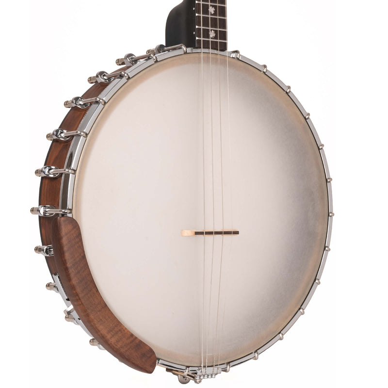 Gold Tone  IT-17: Irish Tenor Banjo with 17 Frets and Gig Bag