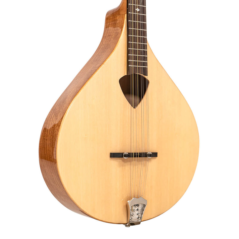 Gold Tone BZ-500: Irish Bouzouki Mandolin with Pickup and Case