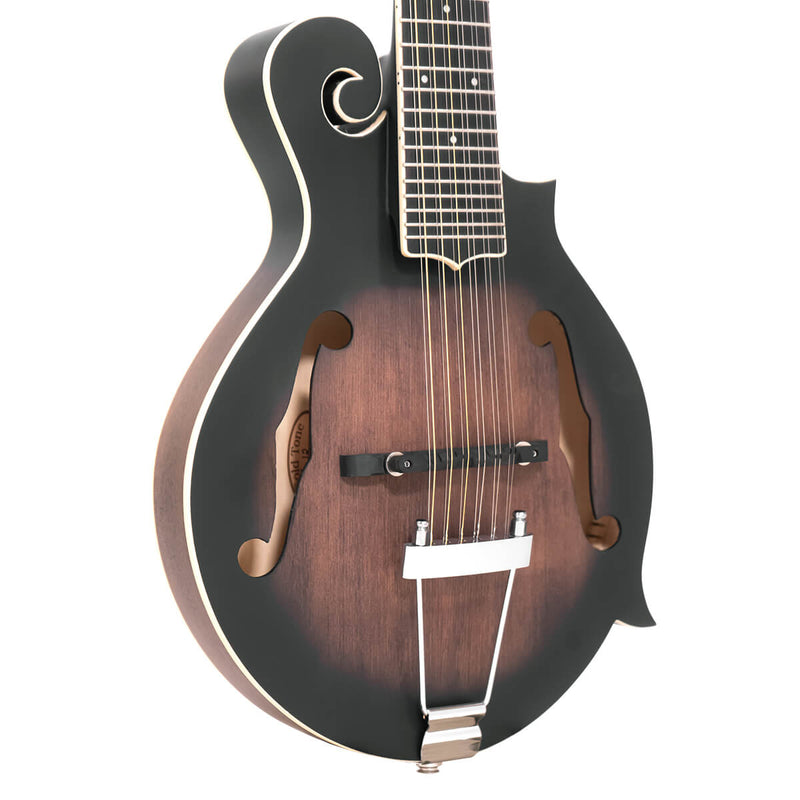 Gold Tone F-12: 12-string F-style Mando-Guitar with Pickup and Case