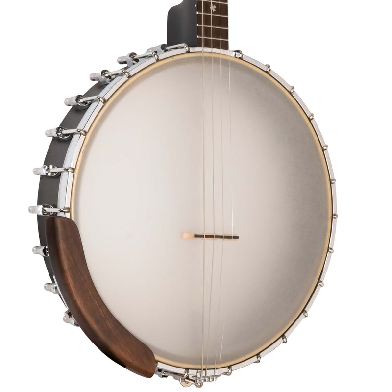 Gold Tone  IT-19: Irish Tenor Banjo with 19 Frets and Gig Bag