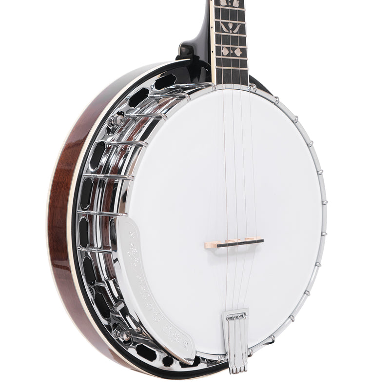 Gold Tone PS-250: Plectrum Special Banjo with Case
