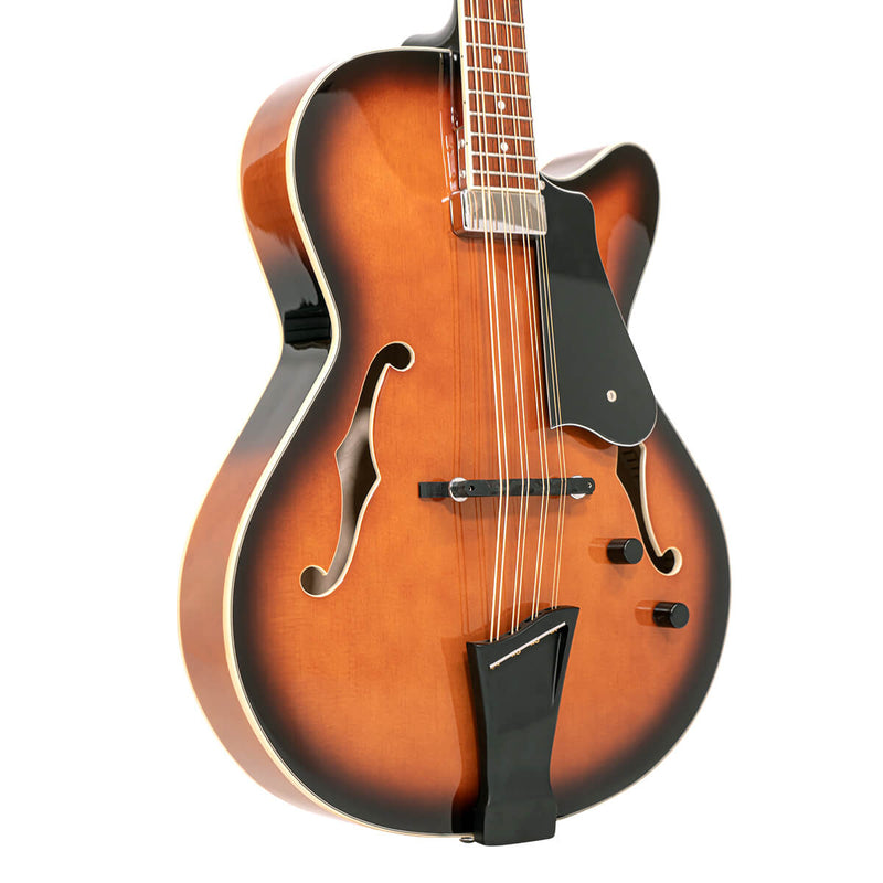 Mandocello: Mandocello with Pickup and Case