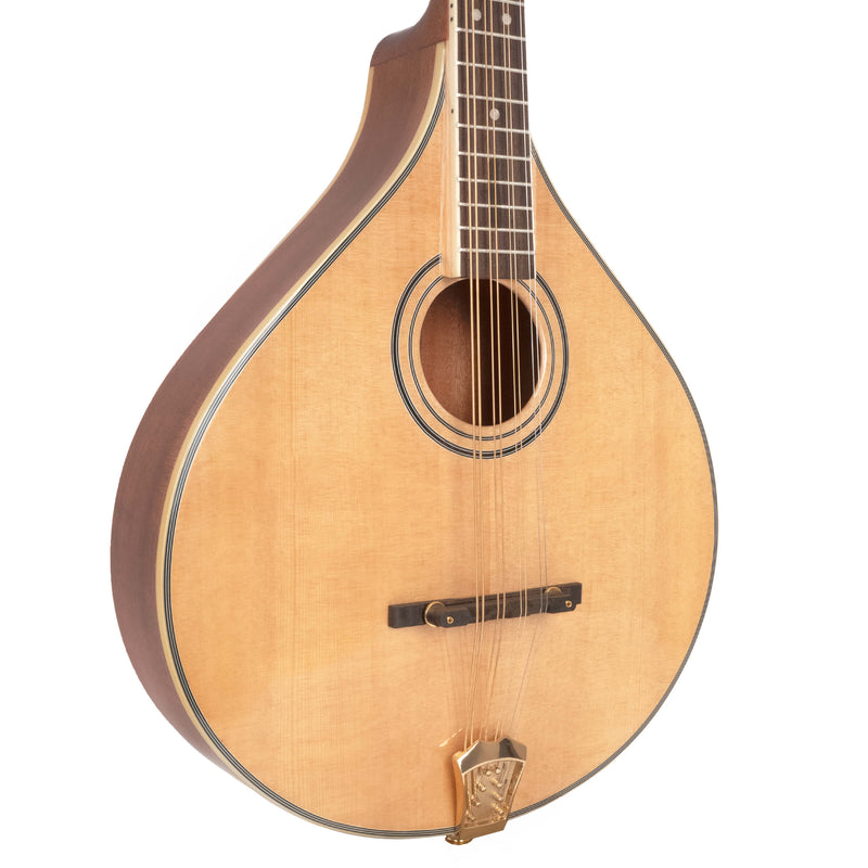Gold Tone OM-800+: Octave Mandolin with Case