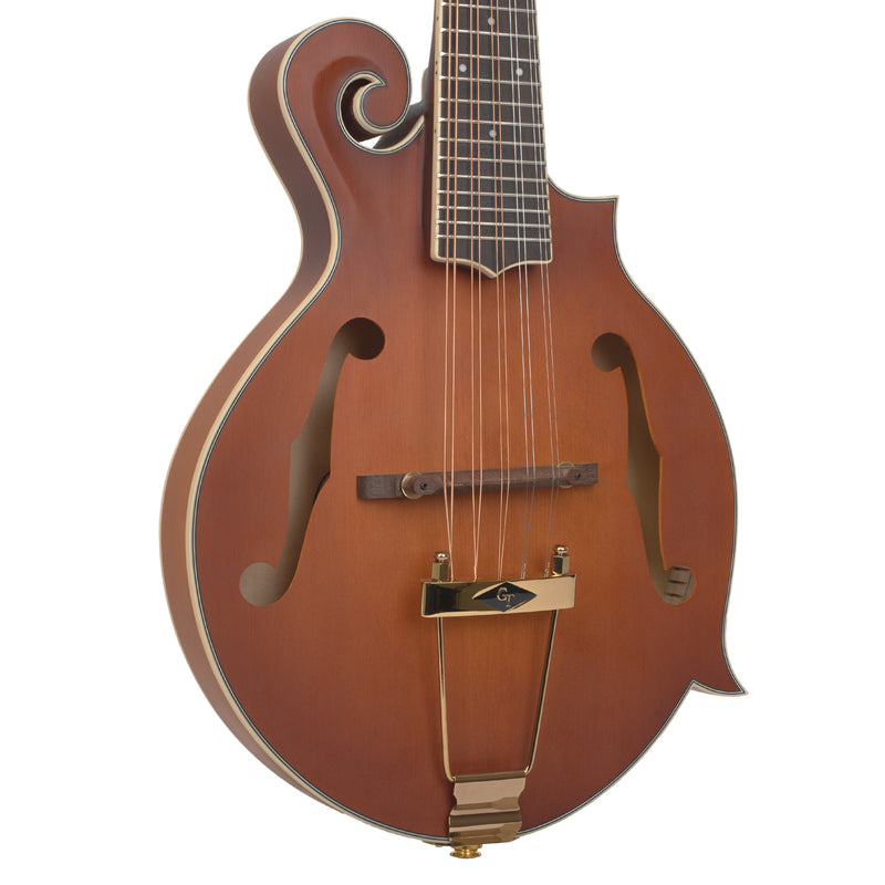 Gold Tone F-10: 10-String F-Style Mandolin with Pickup and Case