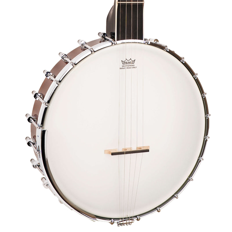 Gold Tone Mastertone™ WL-250: White Ladye Banjo with Case