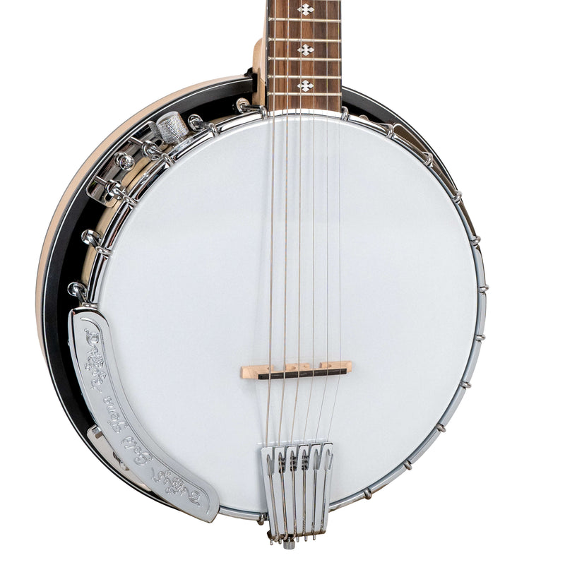 Gold Tone GT-500: Banjitar with Case