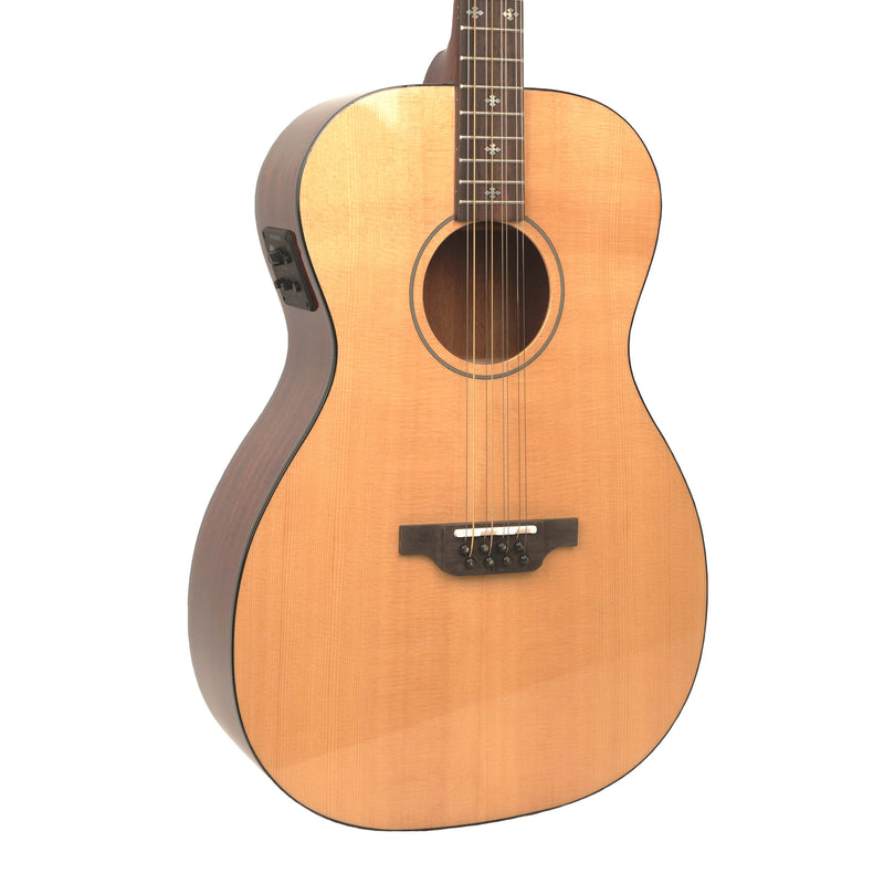 Gold Tone BZ-1000: Guitar-Bodied Bouzouki Mandolin with Case