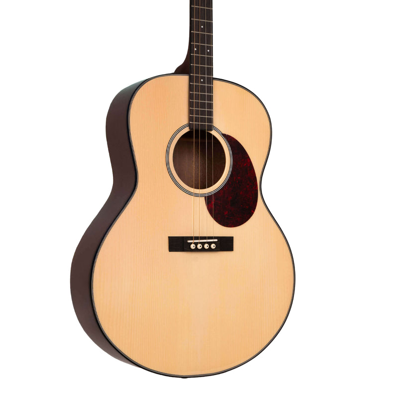 Gold Tone TG-10: Tenor Guitar with Gig Bag